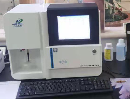 成人抖音视频分析仪