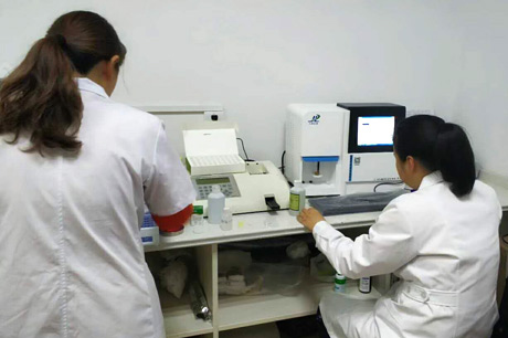 北京新成人抖音91视频生物介绍补钙对成人抖音91视频有哪些优势