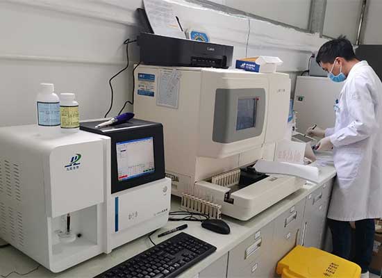 成人抖音视频分析仪