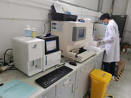 成人抖音视频检测仪